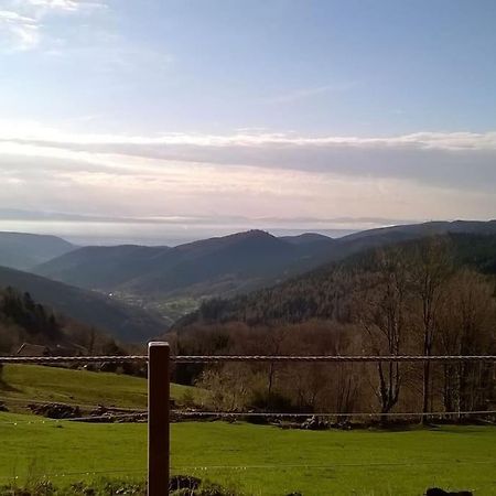 Appartamento Un Coin De Montagne Linthal Esterno foto