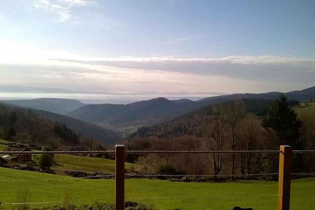Appartamento Un Coin De Montagne Linthal Esterno foto