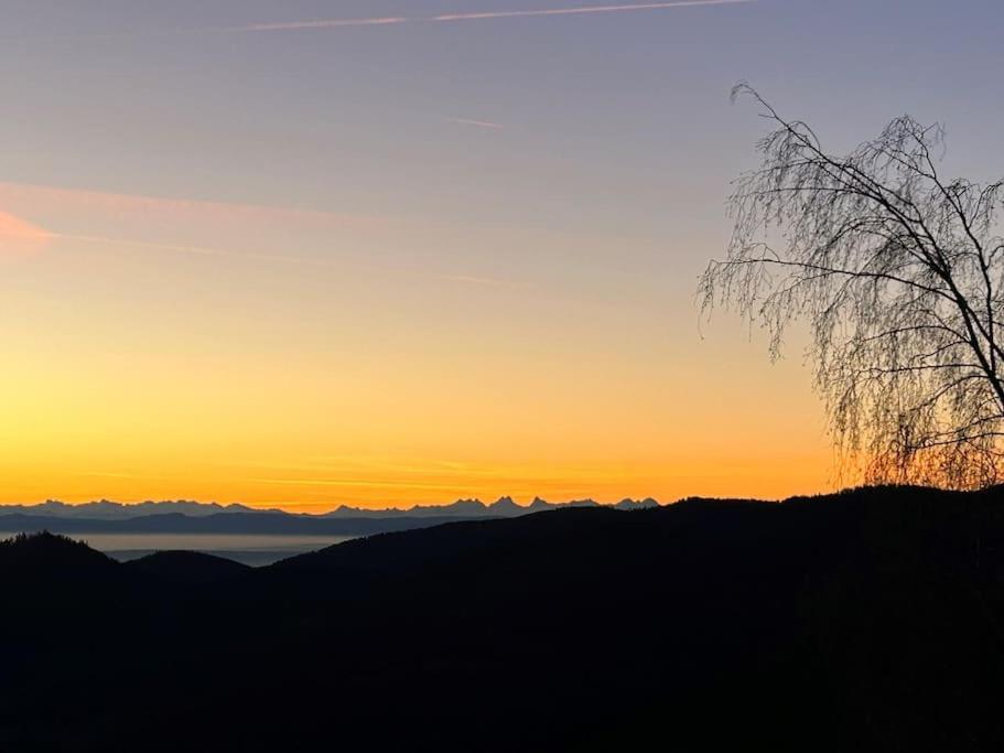Appartamento Un Coin De Montagne Linthal Esterno foto