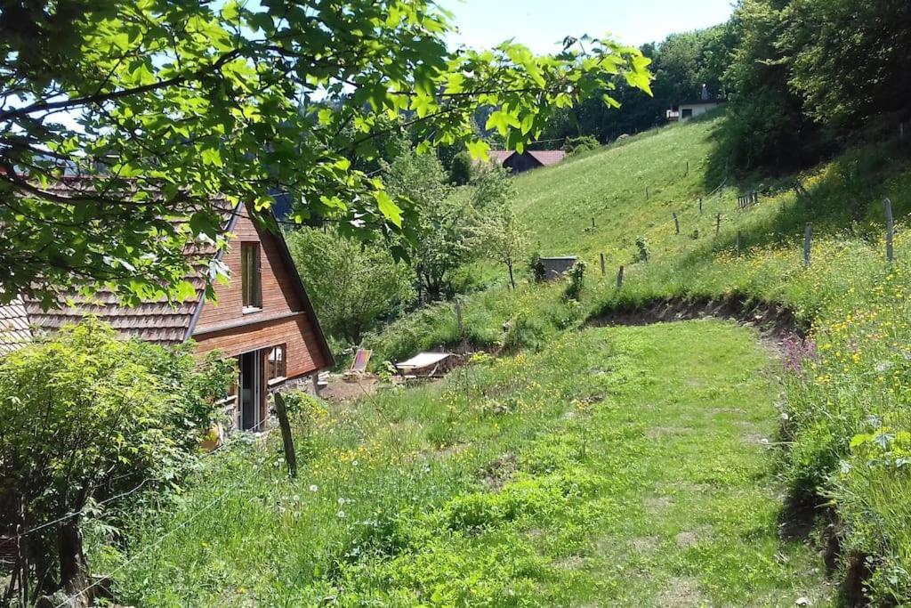 Appartamento Un Coin De Montagne Linthal Esterno foto
