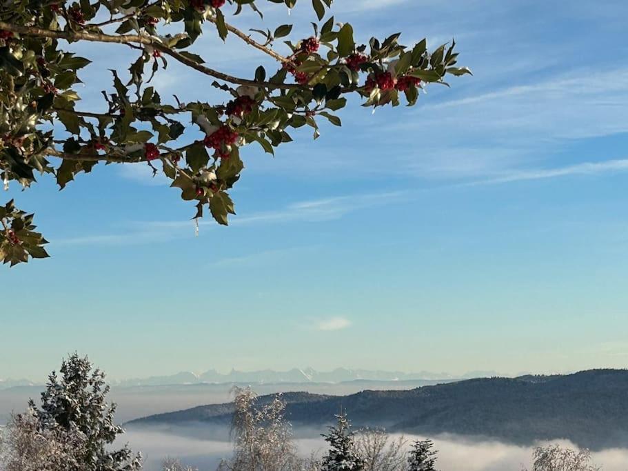 Appartamento Un Coin De Montagne Linthal Esterno foto