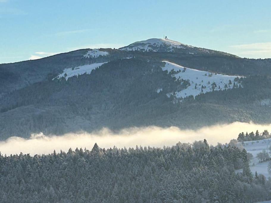 Appartamento Un Coin De Montagne Linthal Esterno foto