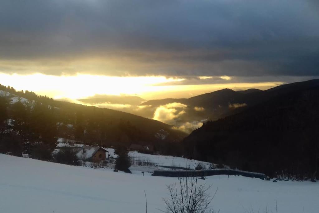 Appartamento Un Coin De Montagne Linthal Esterno foto