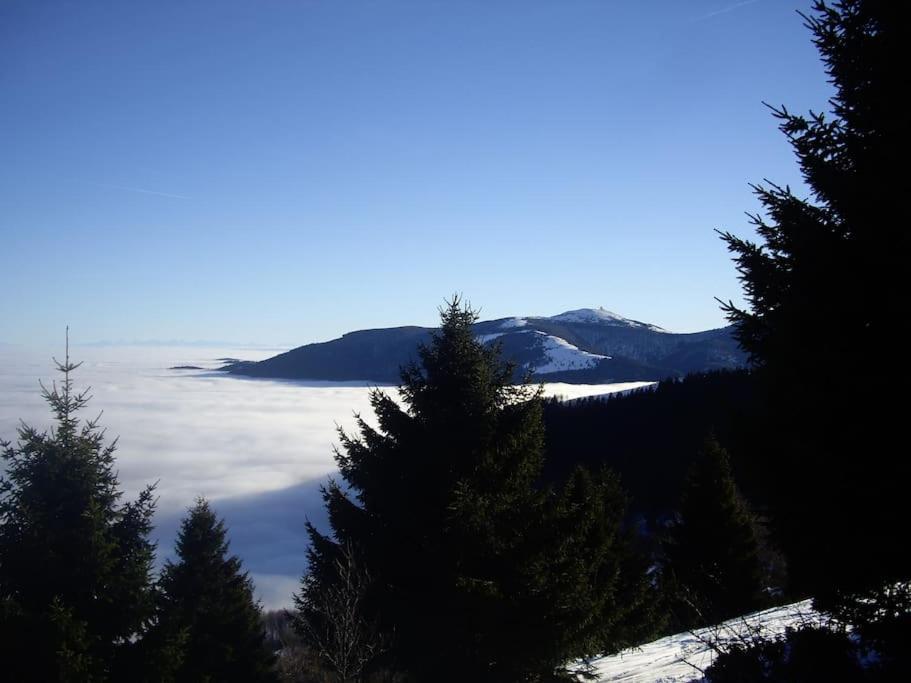 Appartamento Un Coin De Montagne Linthal Esterno foto
