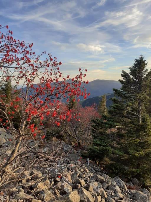 Appartamento Un Coin De Montagne Linthal Esterno foto
