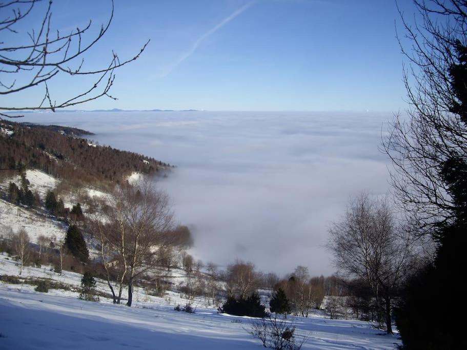 Appartamento Un Coin De Montagne Linthal Esterno foto