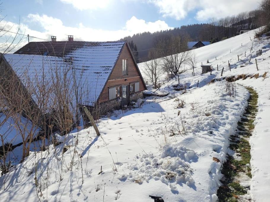 Appartamento Un Coin De Montagne Linthal Esterno foto