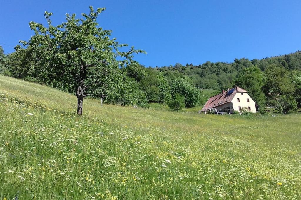 Appartamento Un Coin De Montagne Linthal Esterno foto